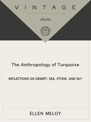 The Anthropology of Turquoise