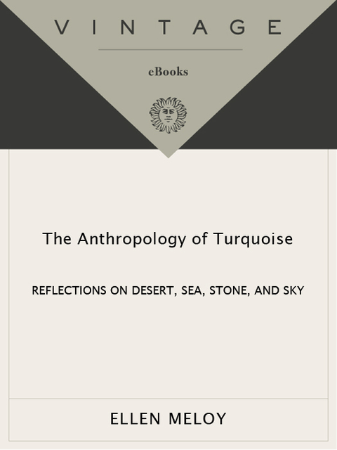 Cover image for book The Anthropology of Turquoise