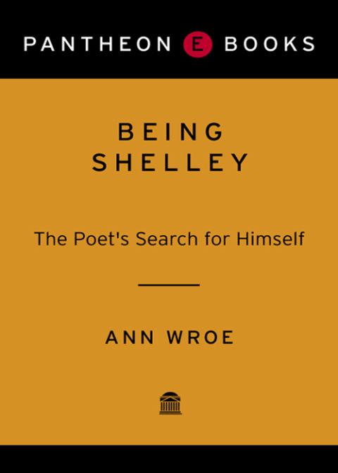 Cover image for book Being Shelley