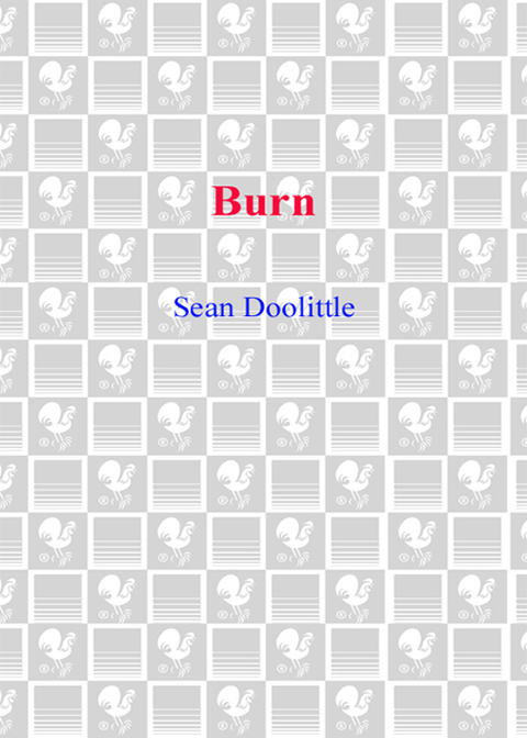 Cover image for book Burn