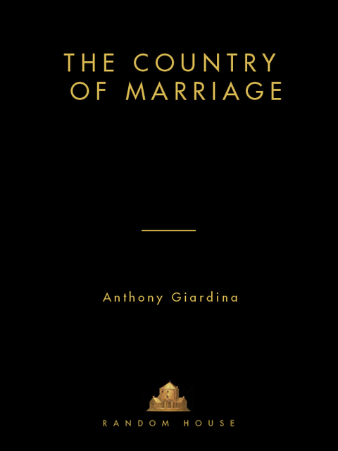 Cover image for book The Country of Marriage