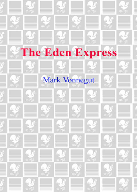 Cover image for book The Eden Express