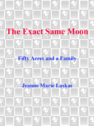 The Exact Same Moon