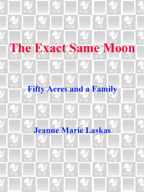 Cover image for book The Exact Same Moon