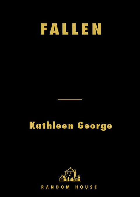 Cover image for book Fallen