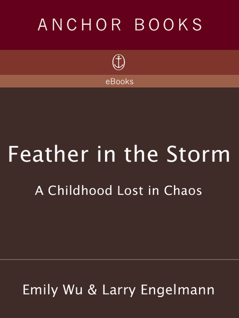 Cover image for book Feather in the Storm