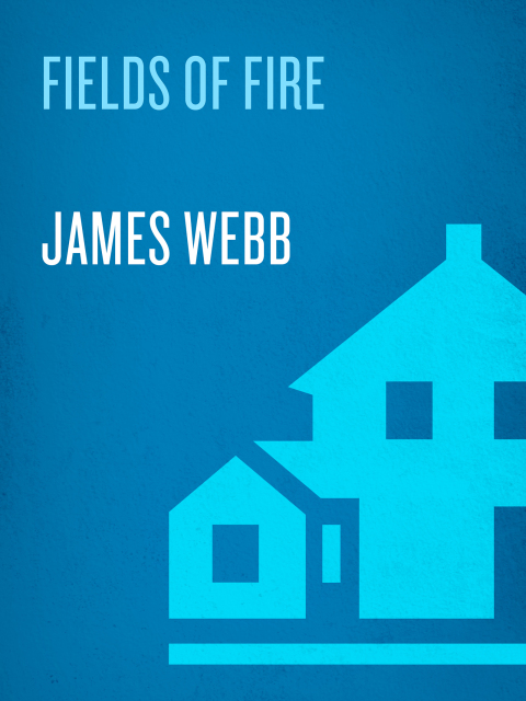 Cover image for book Fields of Fire