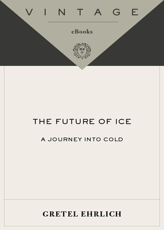 The Future of Ice