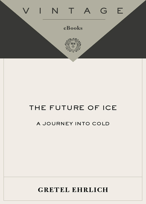 Cover image for book The Future of Ice