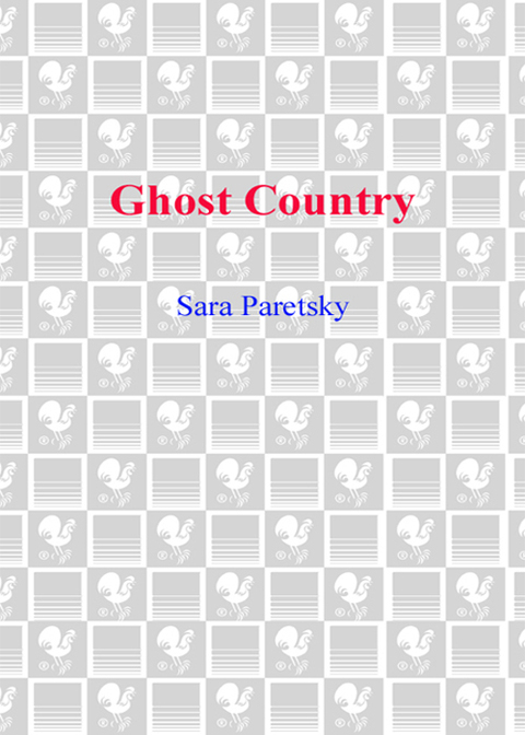 Cover image for book Ghost Country
