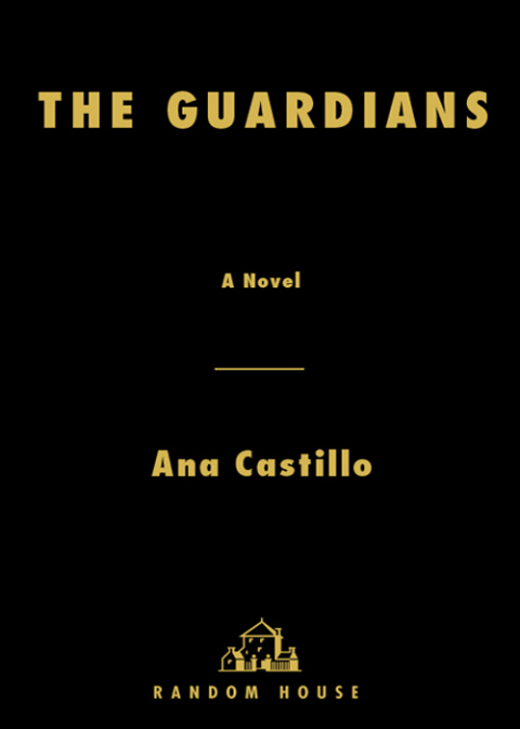 Cover image for book The Guardians