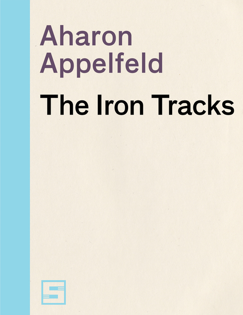 Cover image for book The Iron Tracks