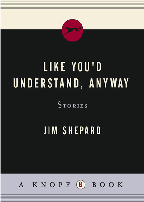 Cover image for book Like You'd Understand, Anyway
