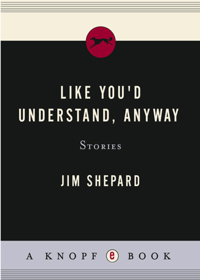 Like You'd Understand, Anyway