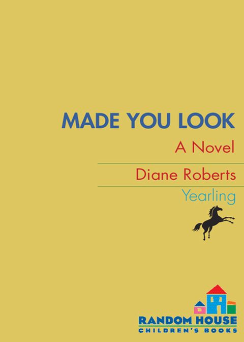 Cover image for book Made You Look