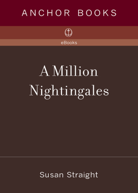Cover image for book A Million Nightingales