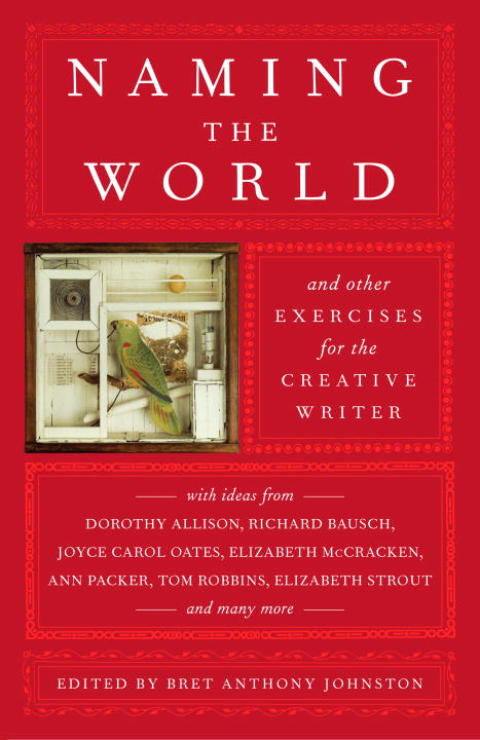 Cover image for book Naming the World