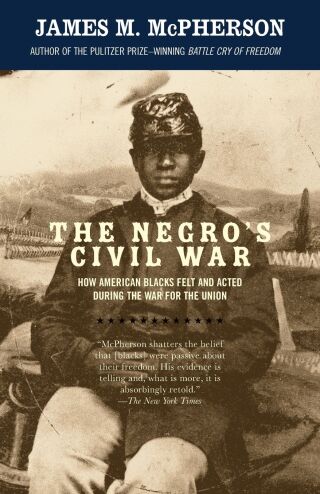 The Negro's Civil War