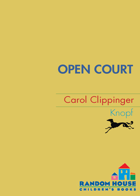 Cover image for book Open Court