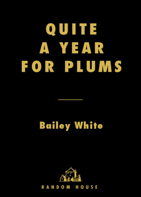 Cover image for book Quite a Year for Plums