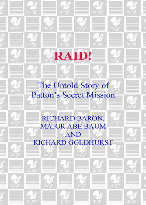 Cover image for book Raid!