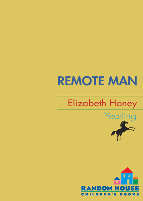 Cover image for book Remote Man
