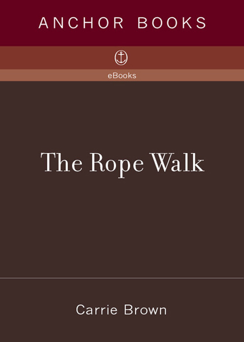 Cover image for book The Rope Walk