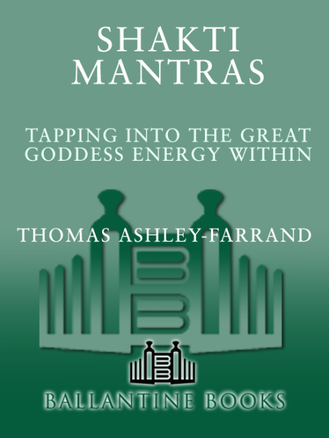 Cover image for book Shakti Mantras
