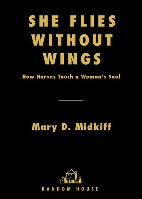 Cover image for book She Flies Without Wings
