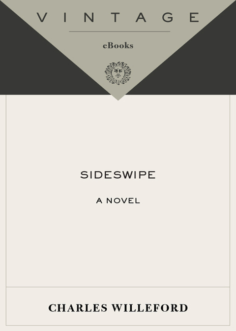 Cover image for book Sideswipe