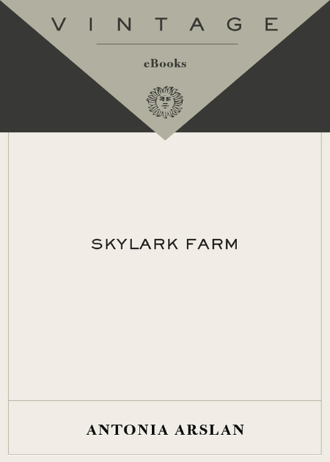 Cover image for book Skylark Farm
