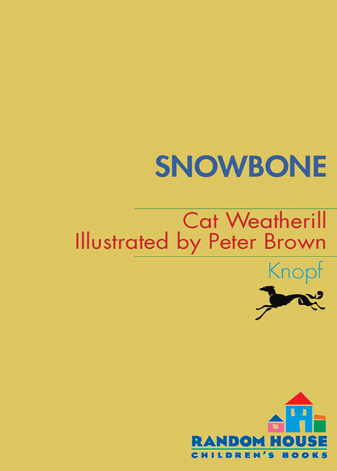 Cover image for book Snowbone