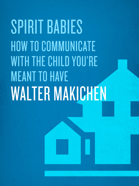 Cover image for book Spirit Babies