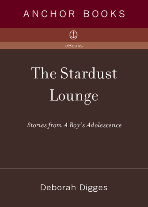 Cover image for book The Stardust Lounge