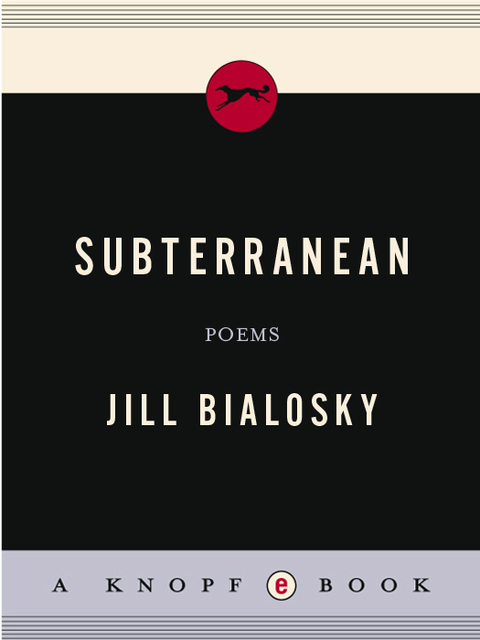 Cover image for book Subterranean