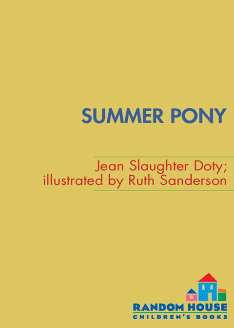 Cover image for book Summer Pony