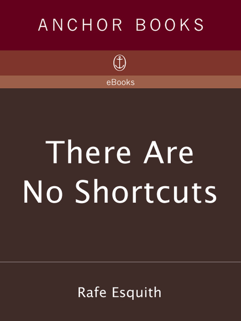 Cover image for book There Are No Shortcuts