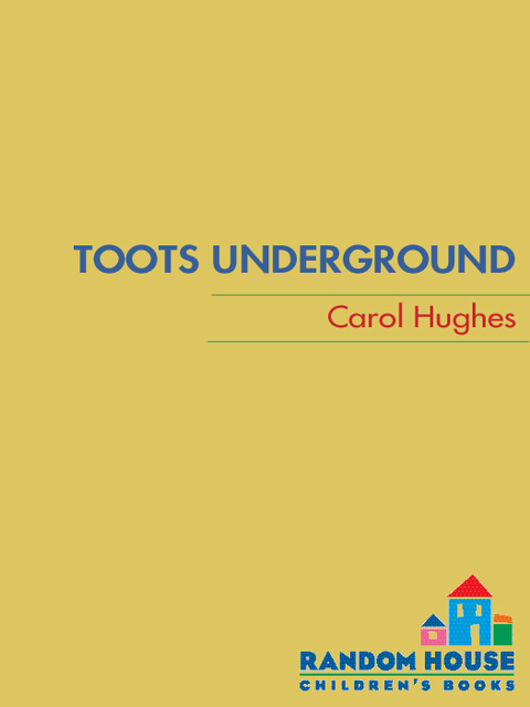 Cover image for book Toots Underground