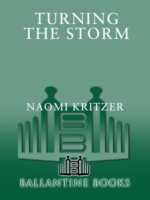 Cover image for book Turning the Storm