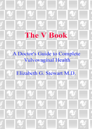 The V Book