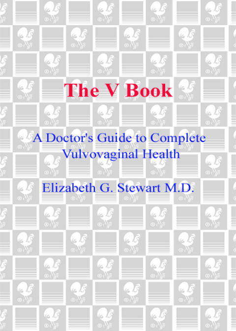 Cover image for book The V Book