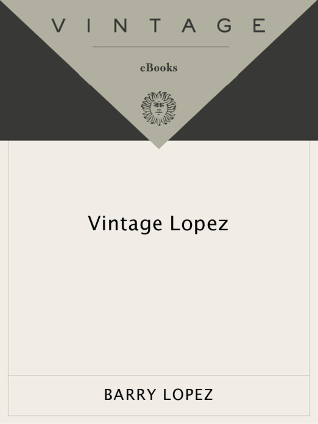 Vintage Lopez