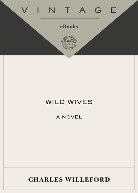 Cover image for book Wild Wives