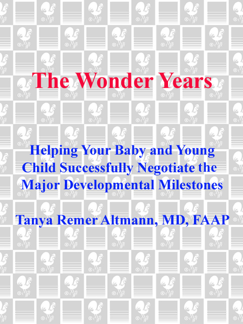 Cover image for book The Wonder Years