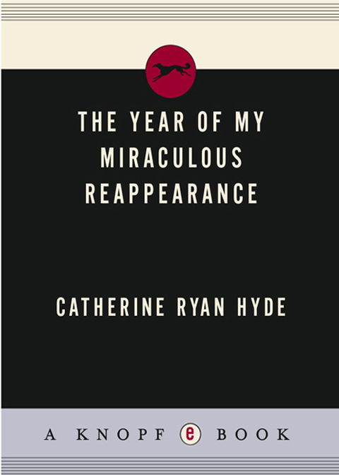 Cover image for book The Year of My Miraculous Reappearance
