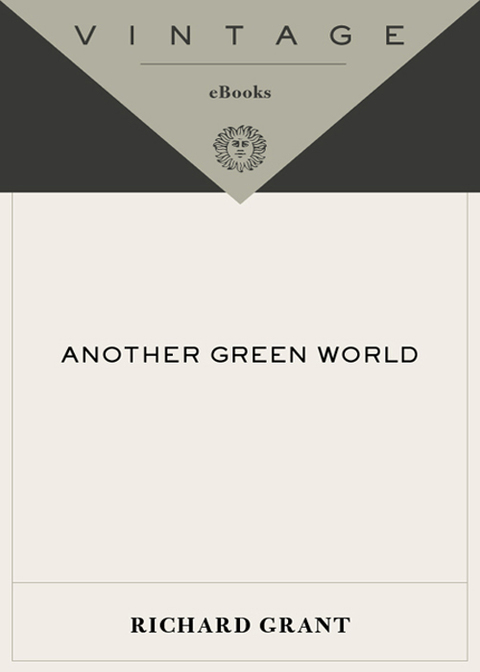 Cover image for book Another Green World