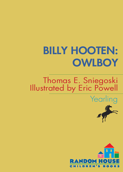 Cover image for book Billy Hooten: Owlboy