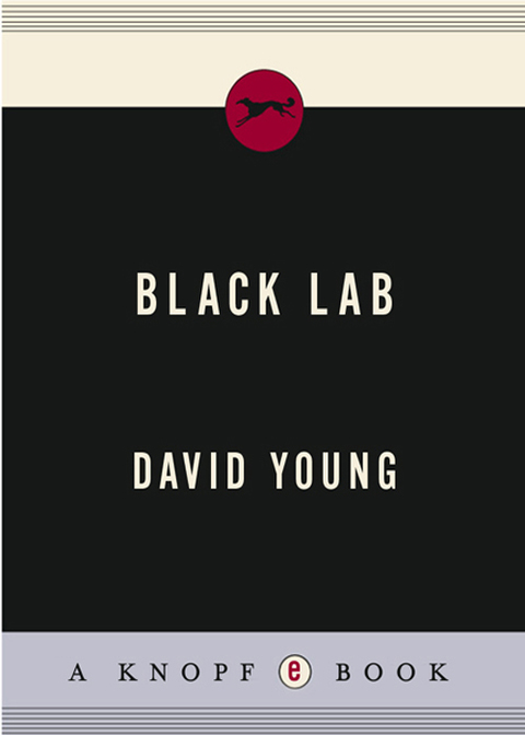 Cover image for book Black Lab