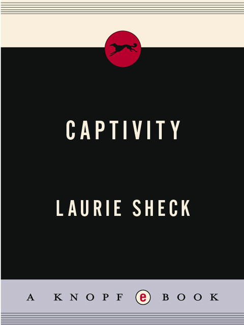 Cover image for book Captivity