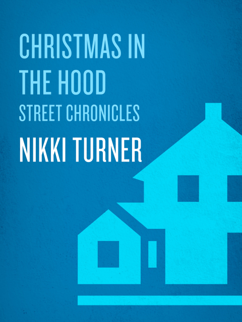 Cover image for book Christmas in the Hood